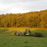 De Baive Nyaraló